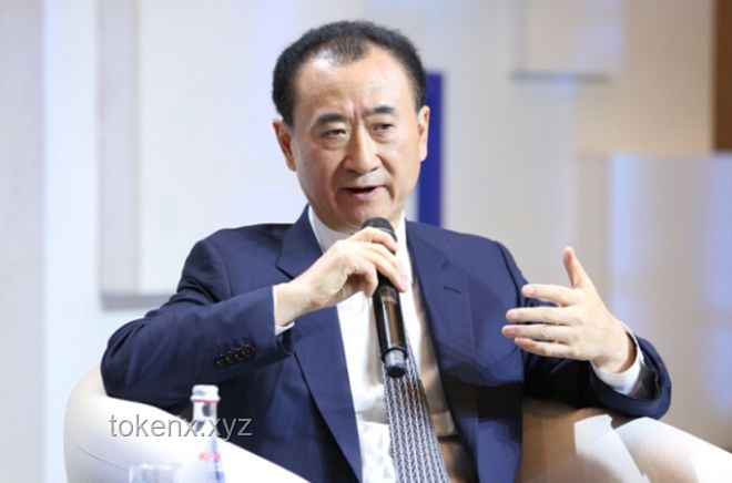 王健林4.9亿股权冻结：万达集团困境与挑战的深度剖析